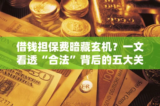 武汉借钱担保费暗藏玄机？一文看透“合法”背后的五大关键陷阱