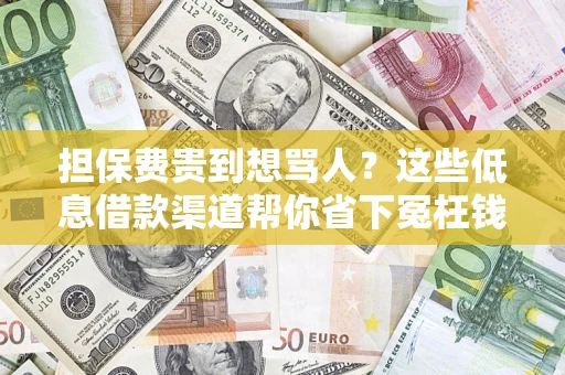 武汉担保费贵到想骂人？这些低息借款渠道帮你省下冤枉钱