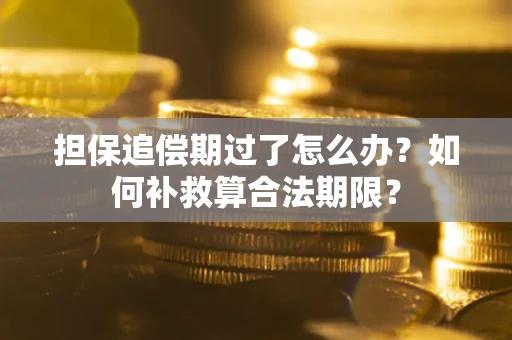 武汉担保追偿期过了怎么办？如何补救算合法期限？
