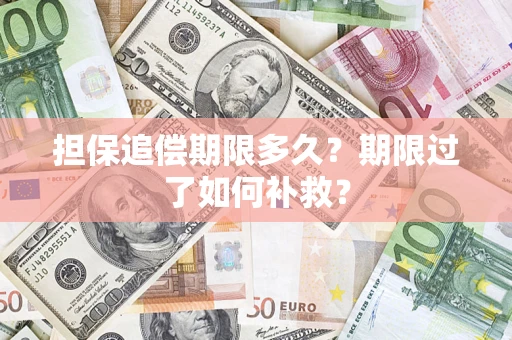 武汉担保追偿期限多久？期限过了如何补救？