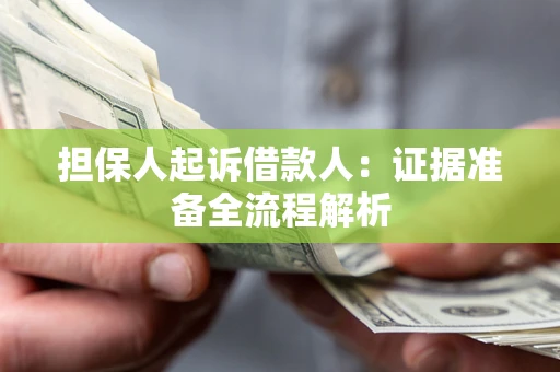 武汉担保人起诉借款人：证据准备全流程解析