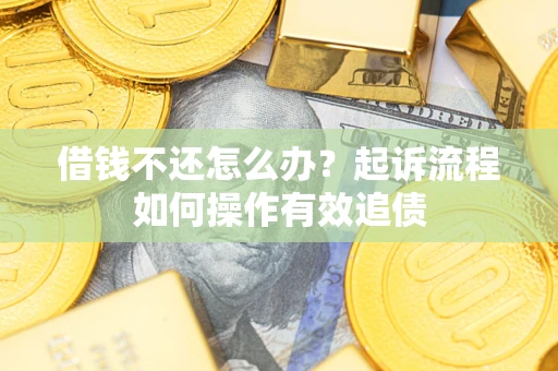 武汉借钱不还怎么办？起诉流程如何操作有效追债