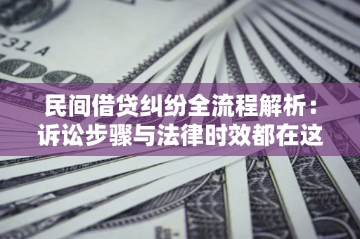 武汉民间借贷纠纷全流程解析：诉讼步骤与法律时效都在这儿了