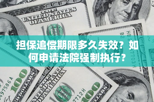 武汉担保追偿期限多久失效？如何申请法院强制执行？