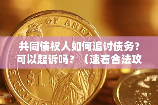 武汉共同债权人如何追讨债务？可以起诉吗？（速看合法攻略）