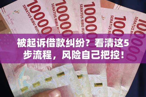 武汉被起诉借款纠纷？看清这5步流程，风险自己把控！