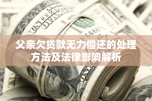 武汉父亲欠贷款无力偿还的处理方法及法律影响解析