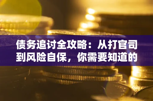 武汉债务追讨全攻略：从打官司到风险自保，你需要知道的法律智慧